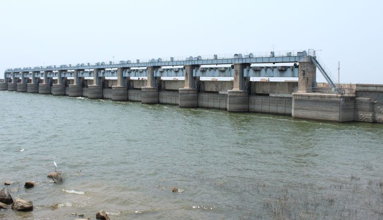 గంతులేసిన గరుకు నేల