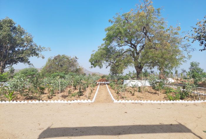 నందనవనంలా.. నారాయణపేట్‌