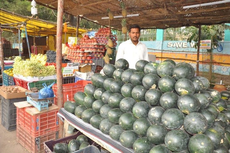 మధురం జలఫలం