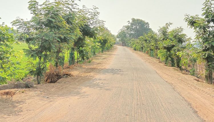 ‘ప్రగతి’కి చిహ్నం