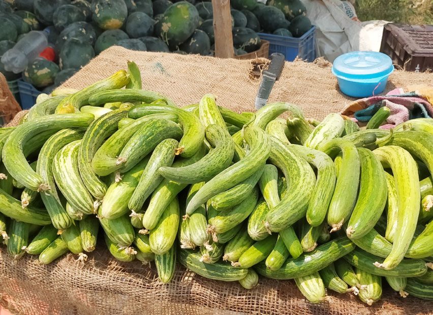 దోసతో వేసవి తాపానికి చెక్‌