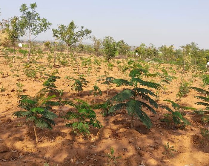 కారేగాం తండా.. ‘ప్రగతి’ నిండా..