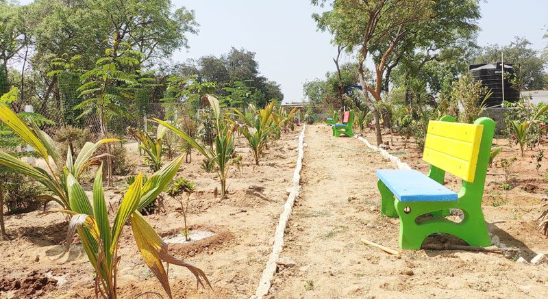 పల్లె ప్రకృతి వనంతో గ్రామానికి నూతన శోభ