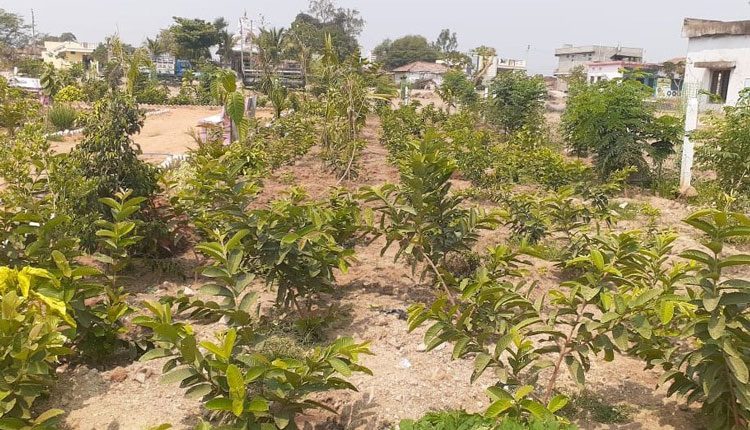 అడ్లూర్‌ ఎల్లారెడ్డి..అభివృద్ధిలో ముందండి!