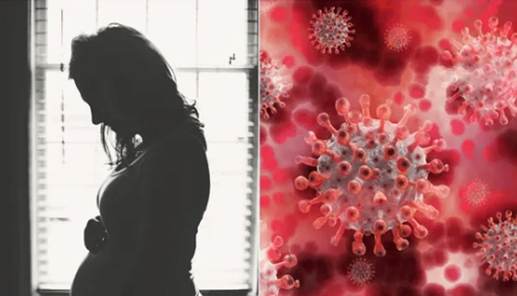 గ‌ర్భధార‌ణ వాయిదా వేసుకోండి.. మ‌హిళ‌ల‌కు బ్రెజిల్ సూచ‌న