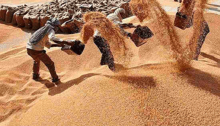 కొనుగోళ్లకు సిద్ధం