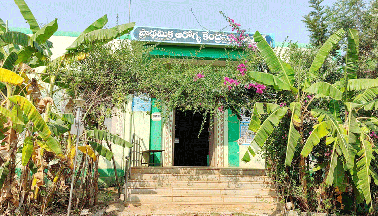 పచ్చందనమే.. పచ్చదనమే..