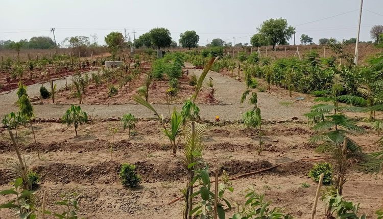 అభివృద్ధి  పరుగులు..