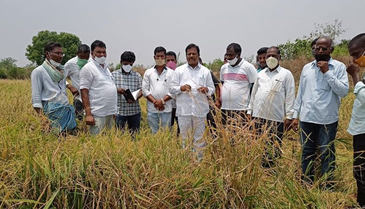 రైతులకు పరిహారం అందేలా చూస్తాం