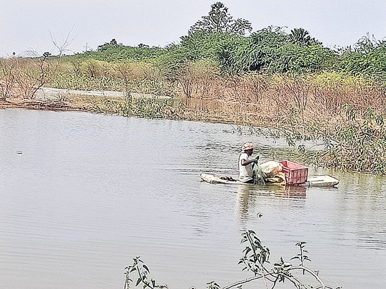 వల నిండుగా.. మత్స్యకారులకు పండుగ
