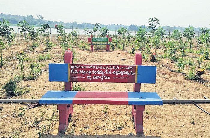 ప్రగతి పాలేపల్లి