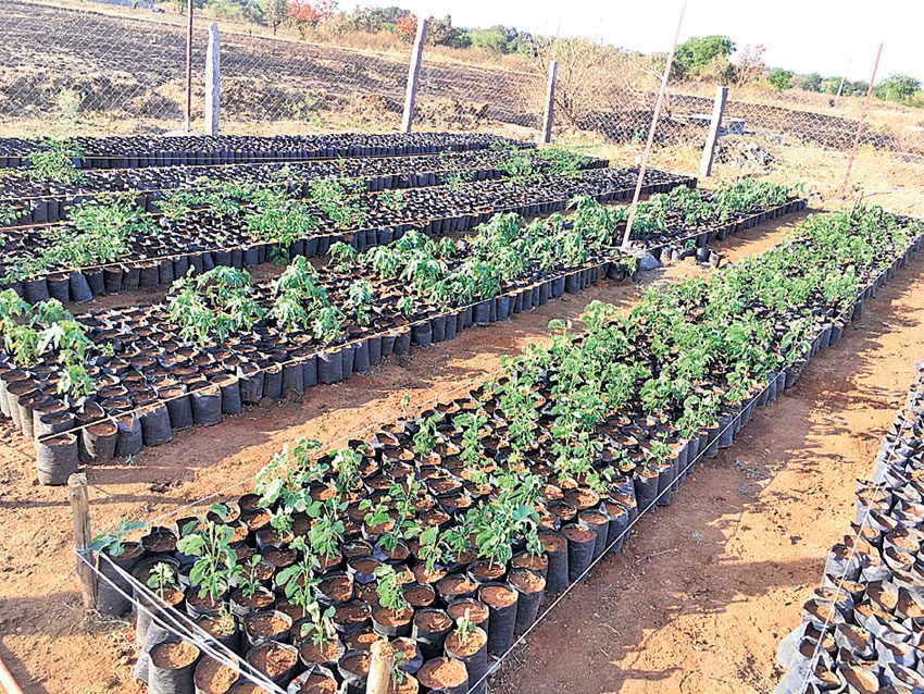 వసతుల ఊరెళ్ల