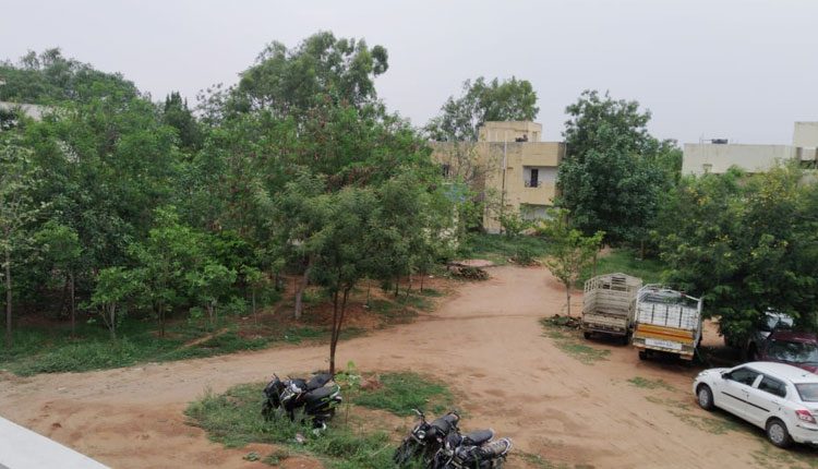 పచ్చందాల ఖాకీ‘వనం’