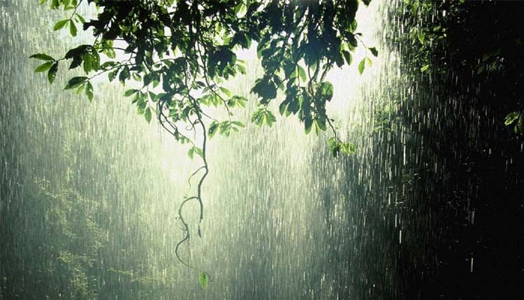 రాష్ట్రంలో వింత వాతావరణం..