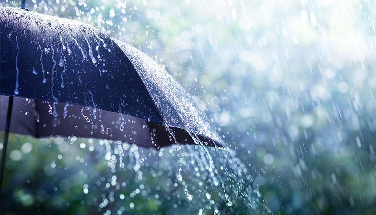 కర్నూల్‌ జిల్లాలో పలుచోట్ల మోస్తరు వర్షం..