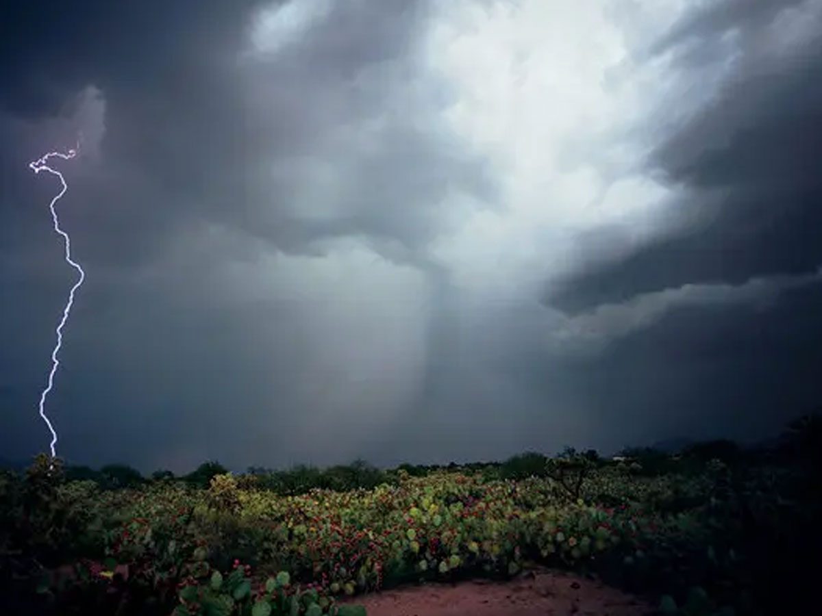 Rain Alert : తెలంగాణలో రానున్న మూడు రోజులు వర్షాలు