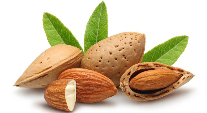 బాదం.. బహుమేలు!