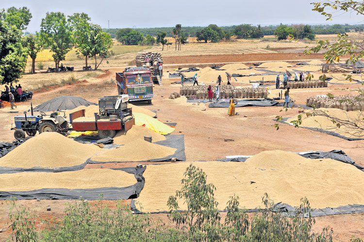 ధాన్యం కొనుగోళ్లపై నిరంతర పర్యవేక్షణ