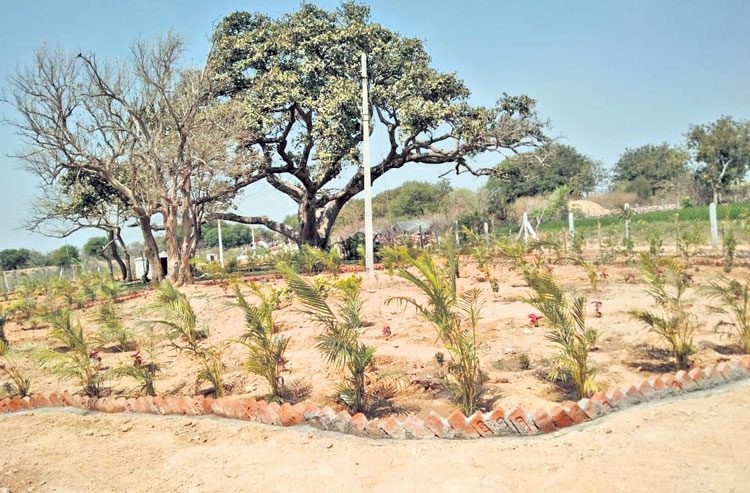 ప్రగతి ముంగిట ఎల్లారెడ్డిపేట