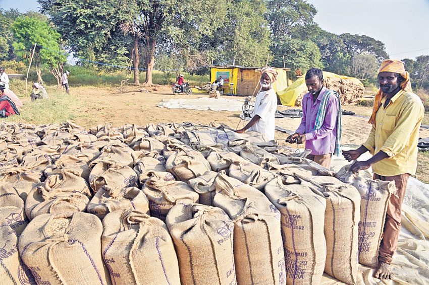 ధాన్యం కొనుగోళ్లకు సమాయత్తం