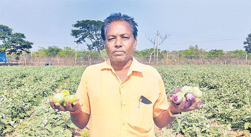 కౌలురైతుకు.. కాసుల వర్షం