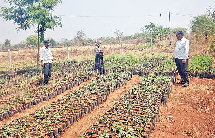 బొడిశెట్‌పల్లి… అభివృద్ధి బాట