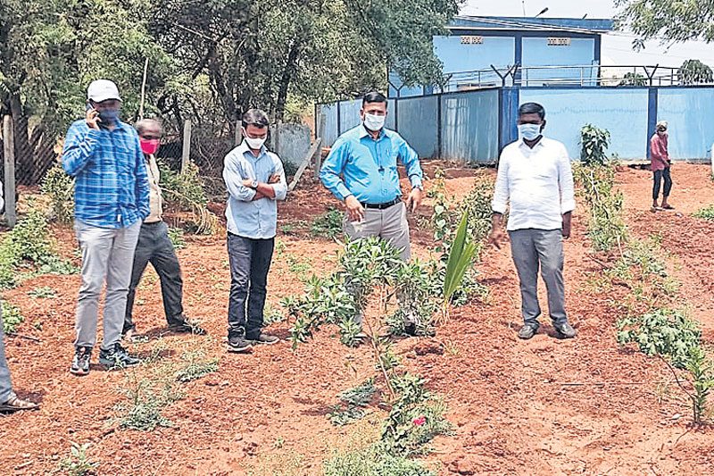 నర్సరీ మొక్కలను సంరక్షించాలి