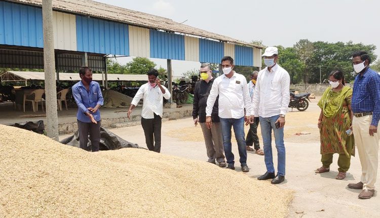 తడిసిన ధాన్యం కొనుగోలు చేస్తాం : ఆర్డీఓ