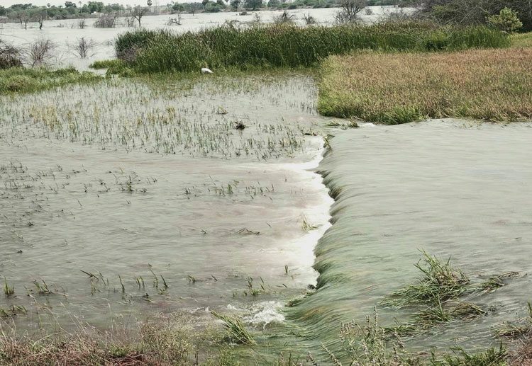 ఎస్సారెస్పీ కాల్వకు గండి