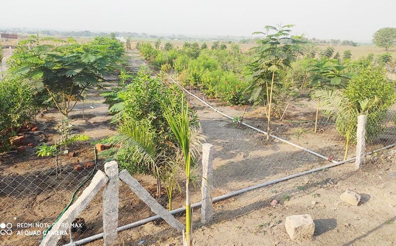 100% ఓడీఎఫ్