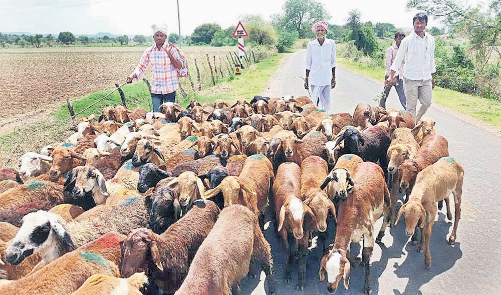 కుల నైపుణ్యం ప్రగతికి సోపానం