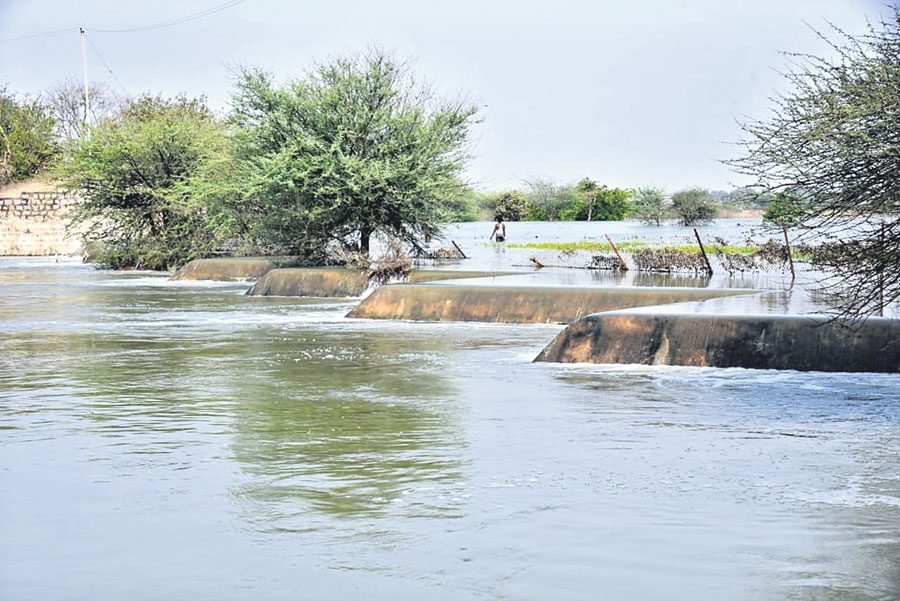 హల్దీవాగులో ఆనంద పరవళ్లు