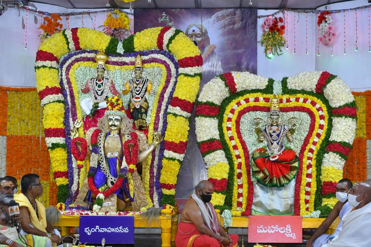 భృంగివాహనంపై ఆది దంపతుల వైభవం