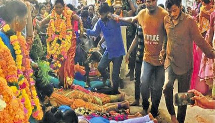 వింత ఆచారం: దున్న‌పోతుతో తొక్కించుకుంటే మంచి జ‌రుగుతుంద‌ట..!