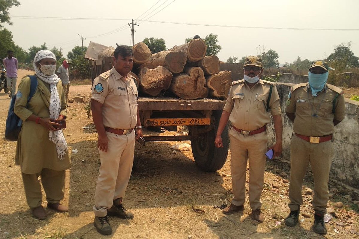 అక్రమంగా తరలిస్తున్న కలప పట్టివేత