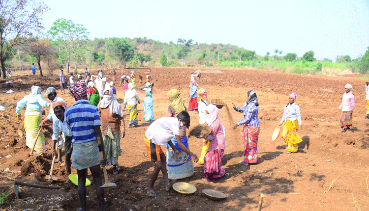 మరింత హమీ