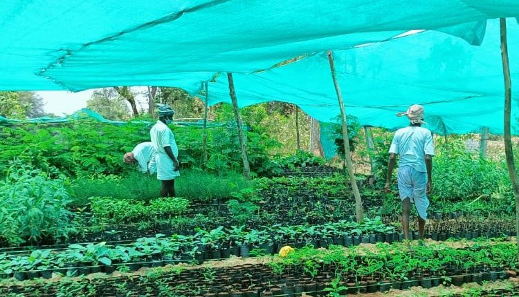 అభివృద్ధి మెరిసింది…కుమ్మరిపల్లి మురిసింది..