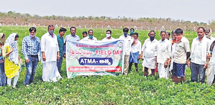 జీవన ఎరువులతో దిగుబడులు సాధించాలి