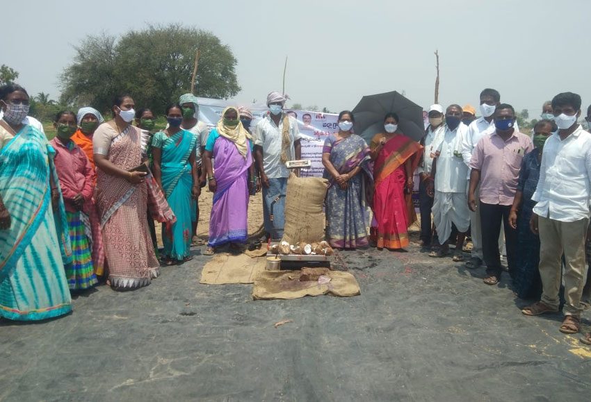 ధాన్యం కొనుగోలు కేంద్రాలు ప్రారంభం