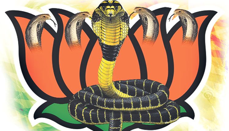 బీజేపీతో బహుపరాక్‌