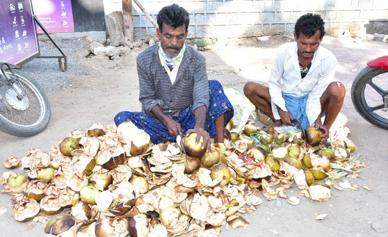 ఐస్‌ ఆపిల్‌ !