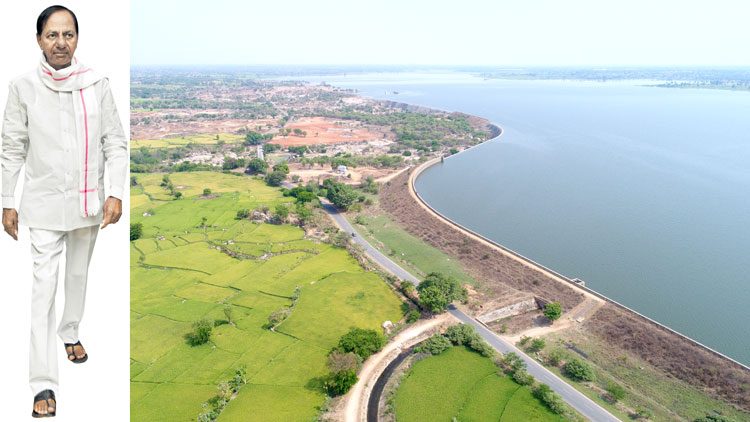 లోపలంతా పచ్చిదనం..పైనంతా పచ్చదనం