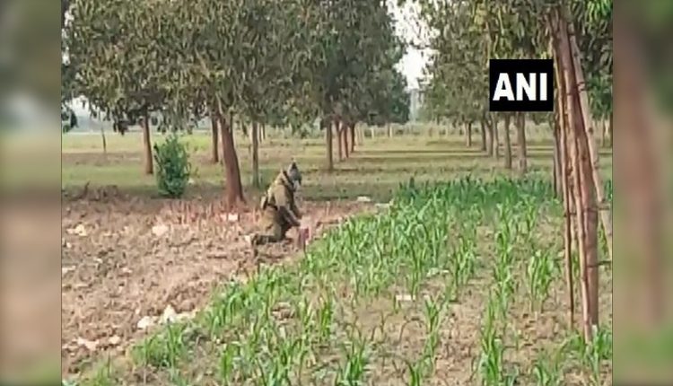 పశ్చిమ బెంగాల్‌ పోల్స్‌ : షంషేర్‌గంజ్‌‌లో 14 బాంబులు స్వాధీనం