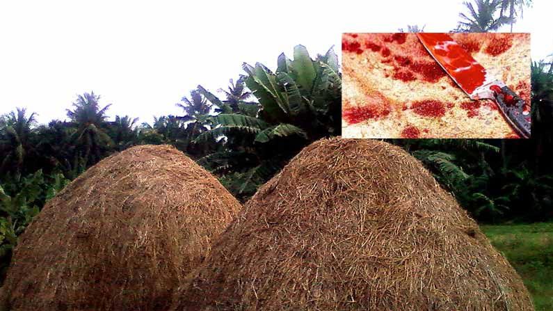 కాబోయే భ‌ర్త ర‌మ్మ‌న్నాడు.. ఆ త‌ర్వాత హ‌త్య‌