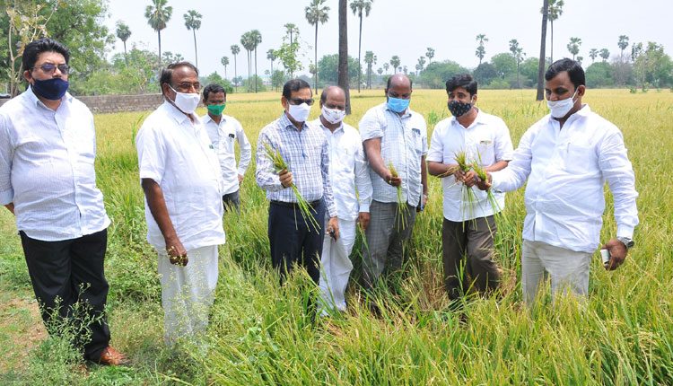 గాలివాన బీభత్సం