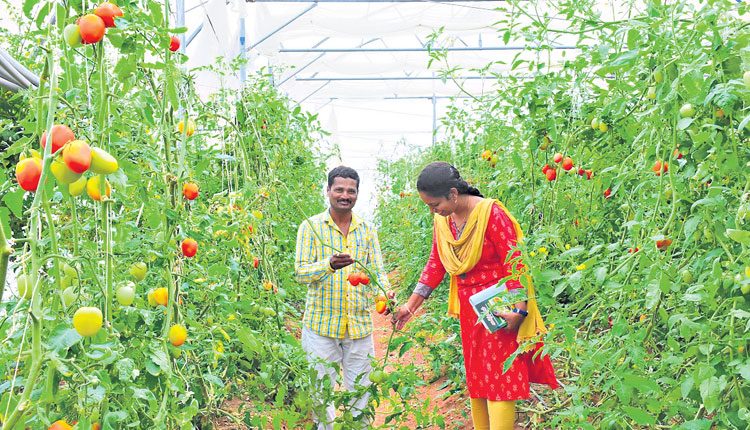 ఉద్యాన ఉద్యమం