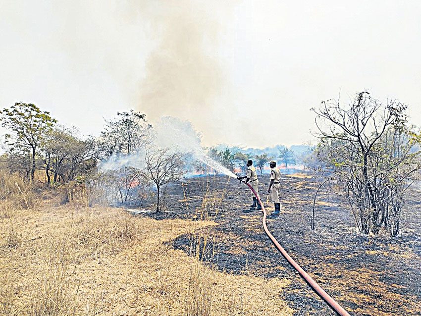వేసవి మంటలతో జాగ్రత్త