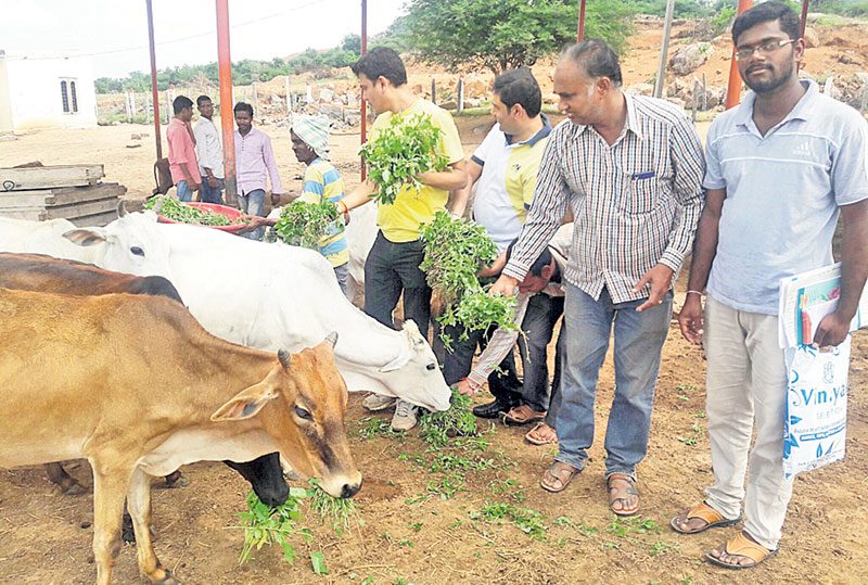 గో రక్షిత రక్షిత