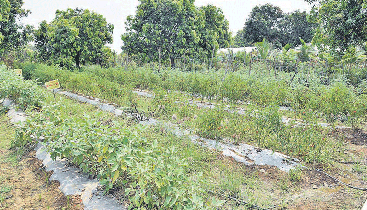 విభిన్నంగా సాగుతూ..