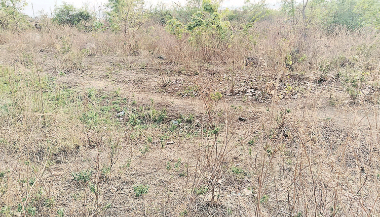 భైంసాలో పోలీస్‌ బెటాలియన్‌